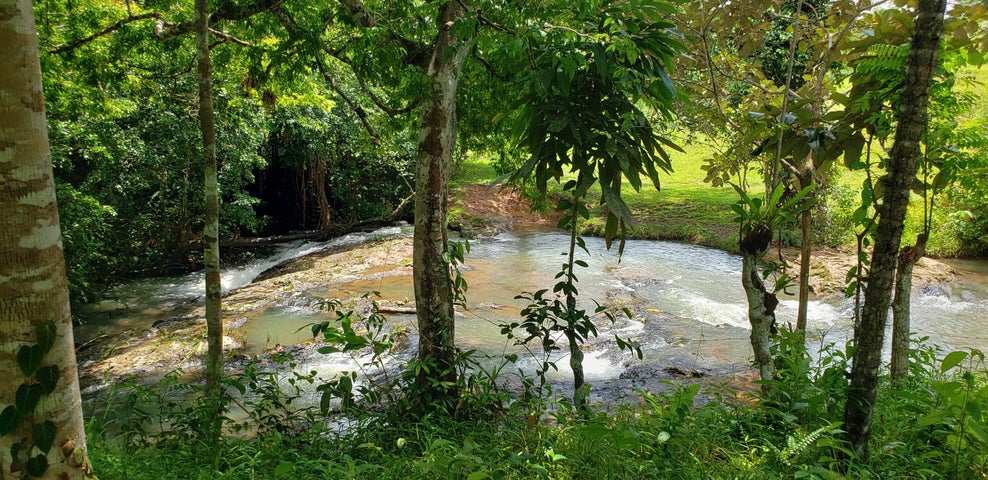 Land for Sale in Panama City Panamá Province 07019